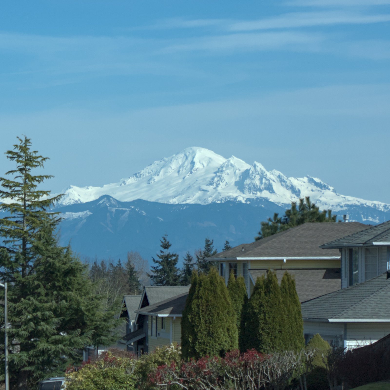 Snow-capped Mount Baker rising behind homes and evergreen trees in Ferndale, Washington